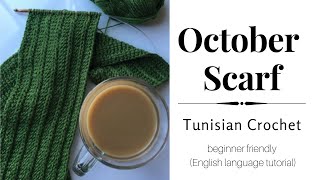 October Scarf, Tunisian Crochet (beginner)