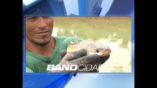 Miniatura do vídeo