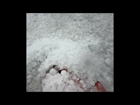 Que celu tenes ?Fundas Salta  está en vivo