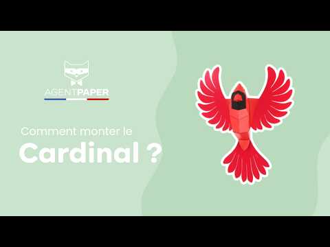 Cardinal - vidéo de présentation