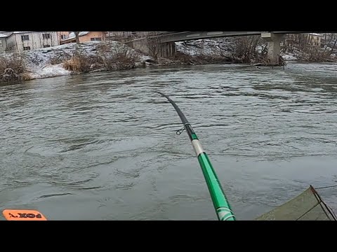 Pecanje Skobalja na plovak - JAKA VODA = JAKA MOTKA - Juzna Morava