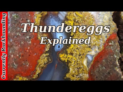 Thundereggs  | What Do You Really Know About Them?
