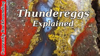 Thundereggs  | What Do You Really Know About Them?