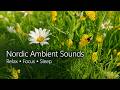 Nordic Summer Nature Sounds | Meadow Walk, Birds, Grasshoppers & Soft Wind