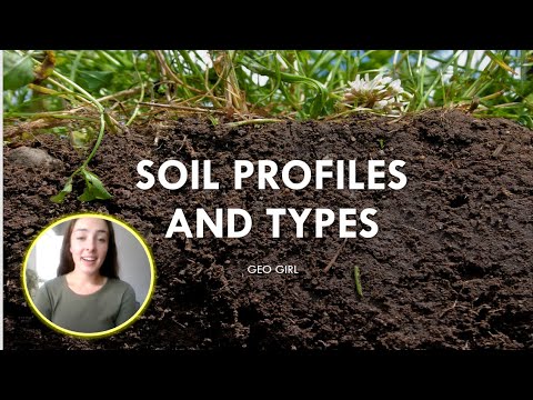 Soil Profiles and Types | GEO GIRL