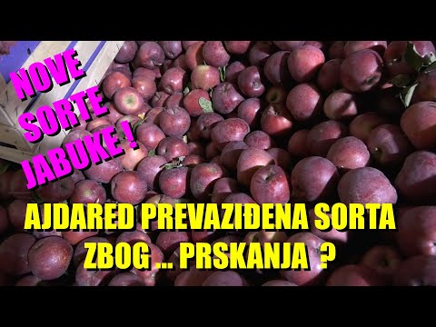 Nove SORTE JABUKE -  AJDARED može u penziju posle 100 godina - OTPORNIJE NA BOLESTI -manje pesticida