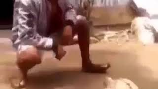 Download lagu Video Lucu Durasi Pendek Untuk Status WA   Ayam Koprol Jungkir balik Bikin Ngaka HIGH mp3