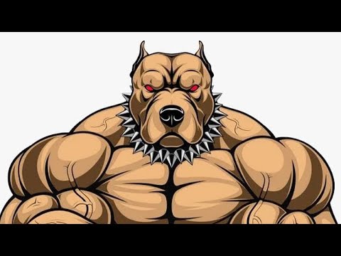 PITBULL DA BASE - NEVOU AÍ MOLHOU AQUI - EP. CARNAVAL DO RAIO ⚡️⚡️⚡️