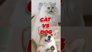 Three Things You Didn't Know About Cats and Dogs #shorts