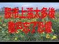 3月2日 股市上漲太多後散戶忘了恐懼