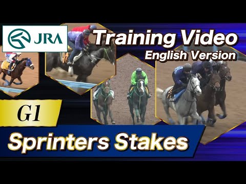 2025 Sprinters Stakes (G1) Training Video[Japanese and International runners]with English subtitles.