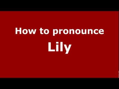 How to Pronounce Lily - PronounceNames.com