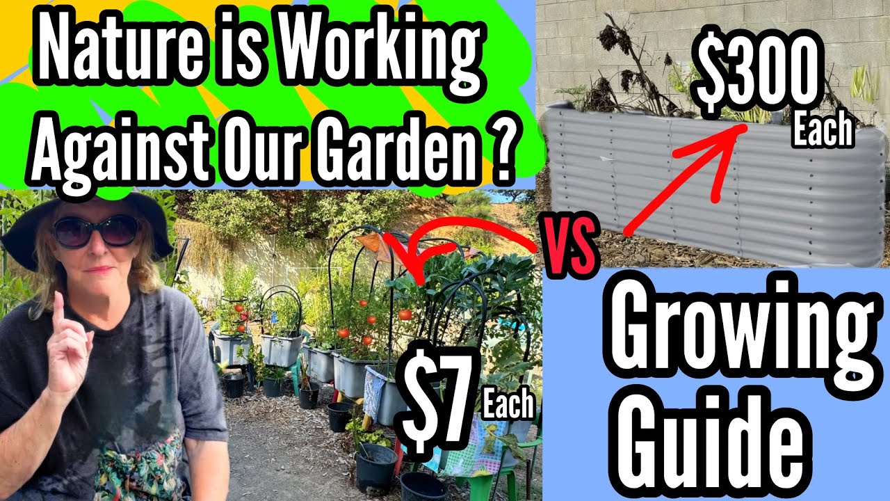 How to Make A Raised Garden Bed FULL Guide for Beginners CHEAP & EASY, Stop Pest, FREE Soil & NO DIG