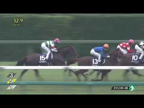 2018 スプリンターズステークス Sprinters Stakes 短途馬錦標