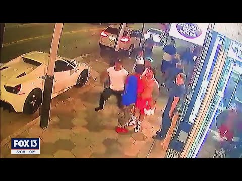 , title : 'Deadly punch caught on video outside Ybor City bar'