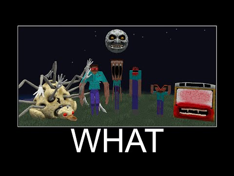 Boris Craft - Compilation Scary Moments part 4 - wait what meme in Minecraft