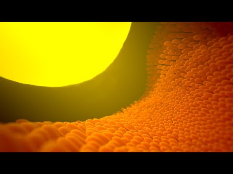 Insect Vision Part 3: Ocelli