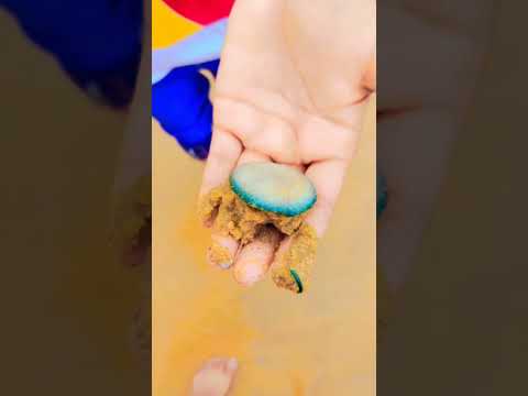 what I found on the beach.... 🤔🤔🤔