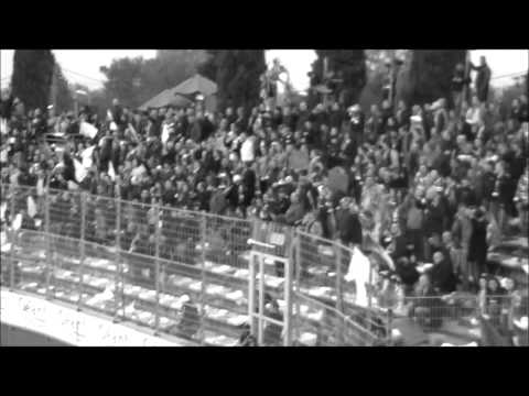 Turchini bonifazinchi