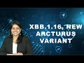 XBB.1.16, new Arcturus variant