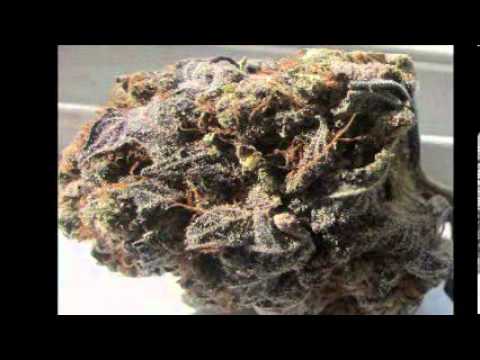 JAVIER FT MULO  H 21 RECORDS