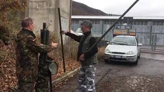 Aste evoluzione colombaccio