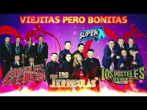 Los Terrícolas  Los Pasteles Verdes Los Angeles Negr@s Leo Dan   Viejas pero Bonitas Mix