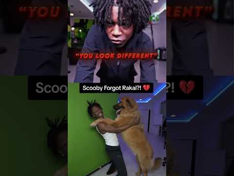 Rakai’s dog almost forgot about him