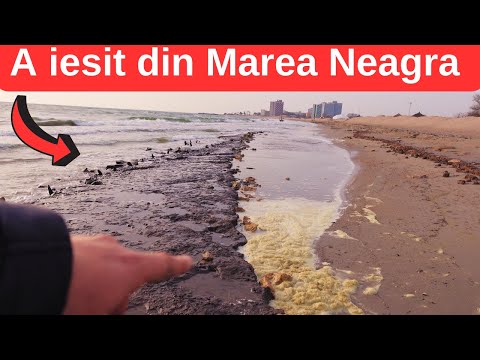 Descoperire pe Plaja Saturn Venus , drum Antic a iesit la suprafata