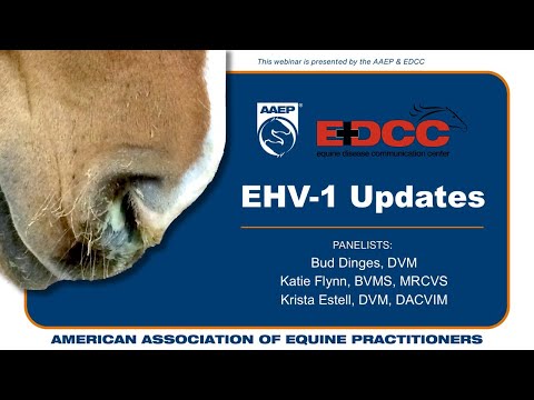 AAEP/EDCC EHV-1 Updates (November 25, 2025)