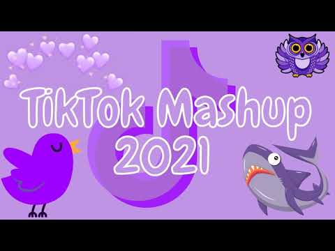 TikTok Mashup 2021