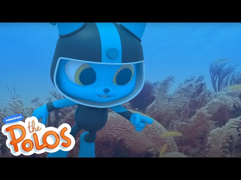 Coral Reef | MarcoPolo World School | Learn At Home - Kingdom Kids Zone, Little Learners - The Polos and MarcoPolo Learning