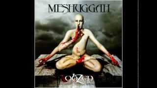 Turrigenous - Bleed (Meshuggah Cover)