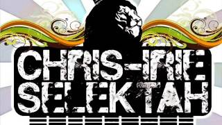 REGGAE DUBSTEP MIX 2013 BY CHRIS-IRIE (30 MIN OF BEST SELECTION)