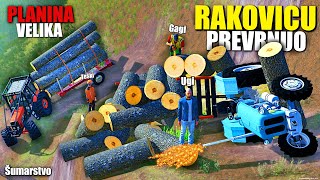 RAKOVICA, IMT I BELARUS vs VELIKA PLANINA ! *Ugi poginio* | Šumarstvo