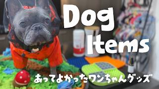 【案件なし】本当にあってよかった愛犬グッズをご紹介!