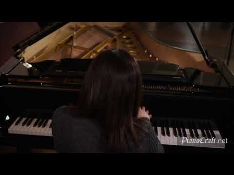 Granados The Maiden and the Nightingale Steingraeber D-232 Hai Jin, Pianist