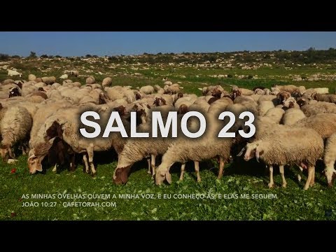Salmos 23 em Português - Programa a Biblia Viva