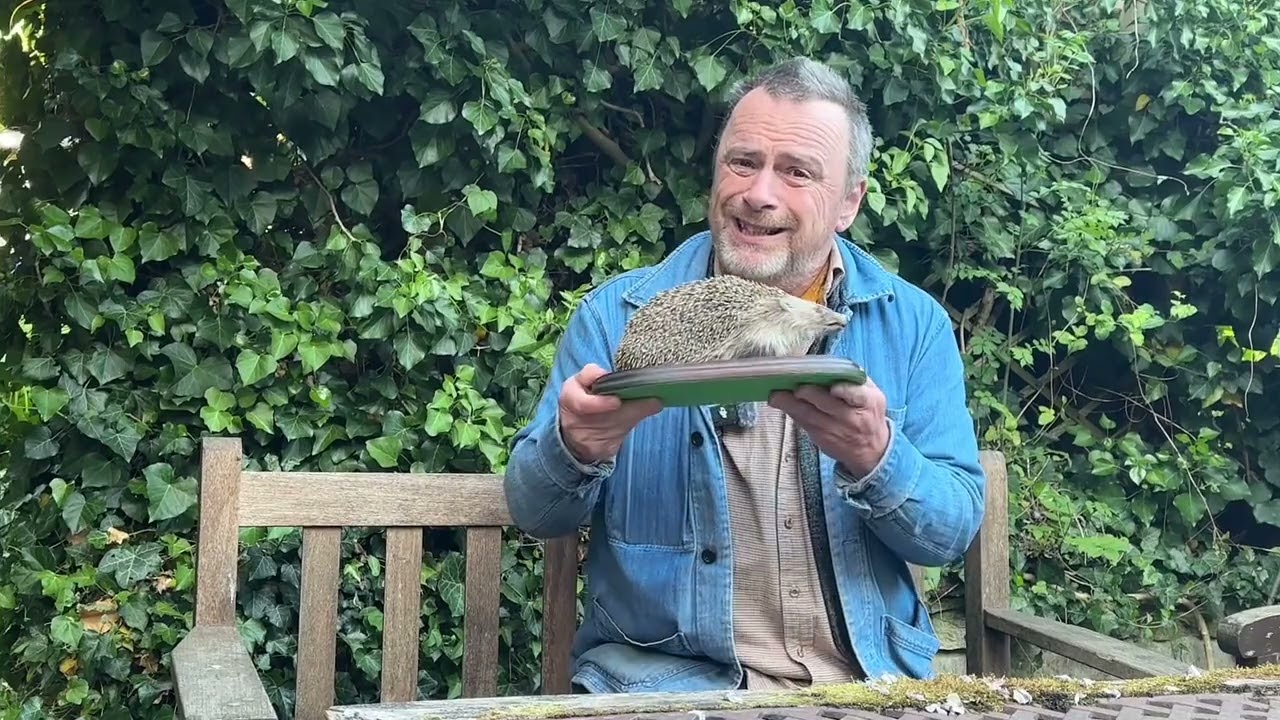 🦔 Learn about Hedgehogs - THE HERDS
