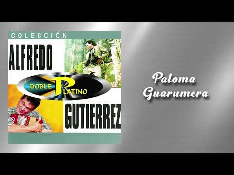 Paloma Guarumera - Alfredo Gutiérrez | Vallenato
