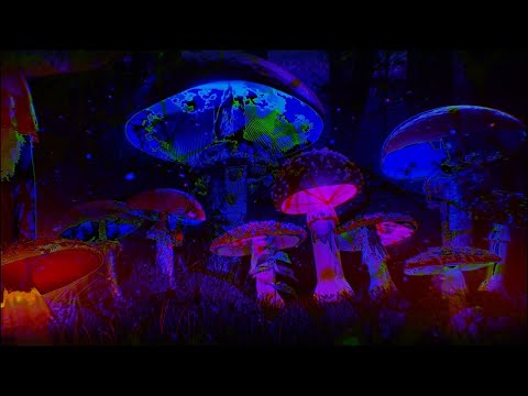 ORYMA - Bad Trip | Best Hard Techno Experience