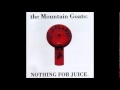 Waving At You- The Mountain Goats