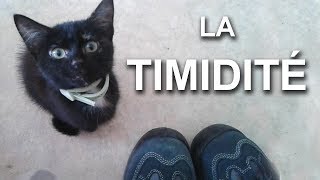 097 LA TIMIDITÉ