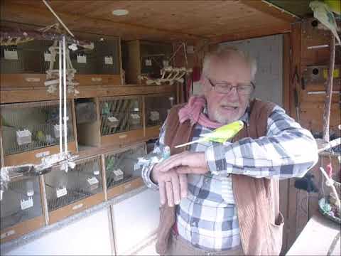 2021 04 22 Der Wellifluestererfilm des Tages