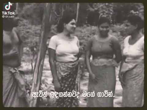 සුපිරි රැප් එකක් 😍❤ #sdill upcoming rap ඕනෙද අල්ලන්න නාඩි onada allanna nadi