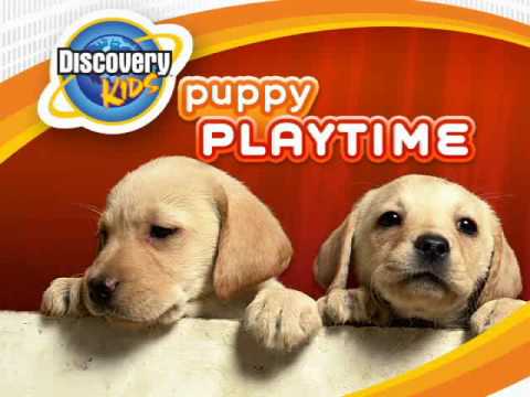 Puppy Luv Animal Tycoon Nintendo DS