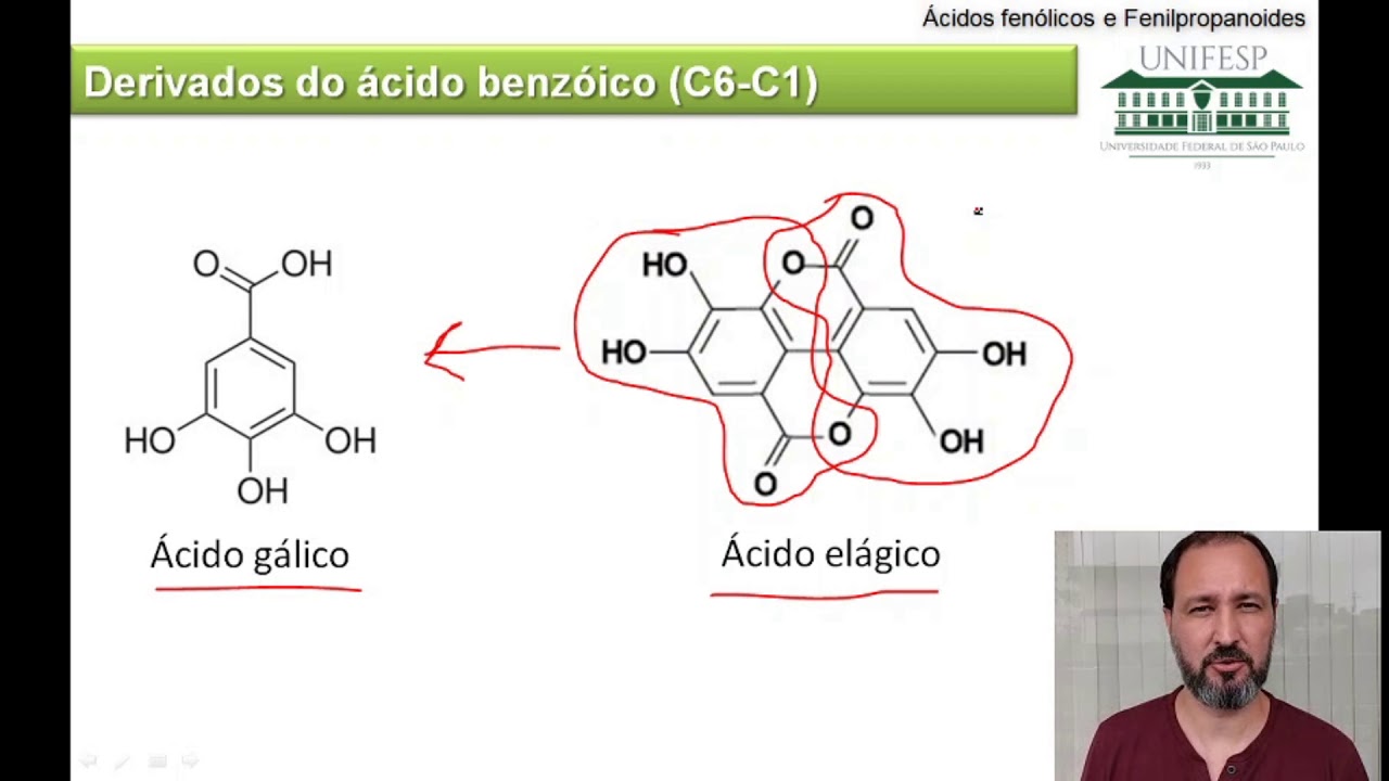 Ácidos fenólicos e Fenilpropanoides