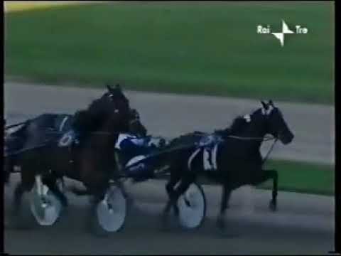 DERBY DEL TROTTO 2002 CONCORD JET