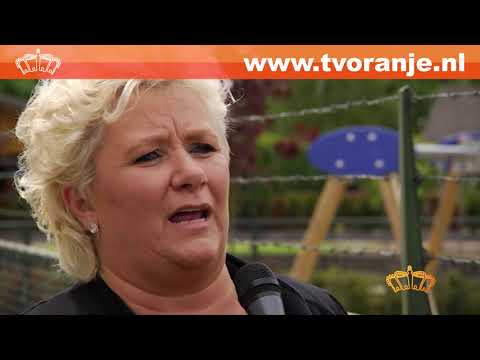 TV Oranje Showflits - Daantje
