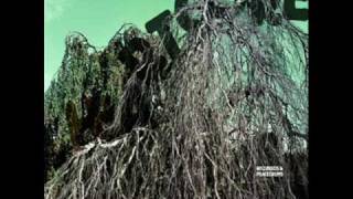 Wildbirds & Peacedrums - I Can't Tell in His Eyes